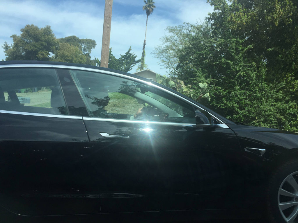 Model 3 caught testing in the wild