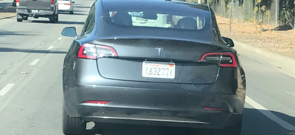 Tesla Model 3 Gray Spotted