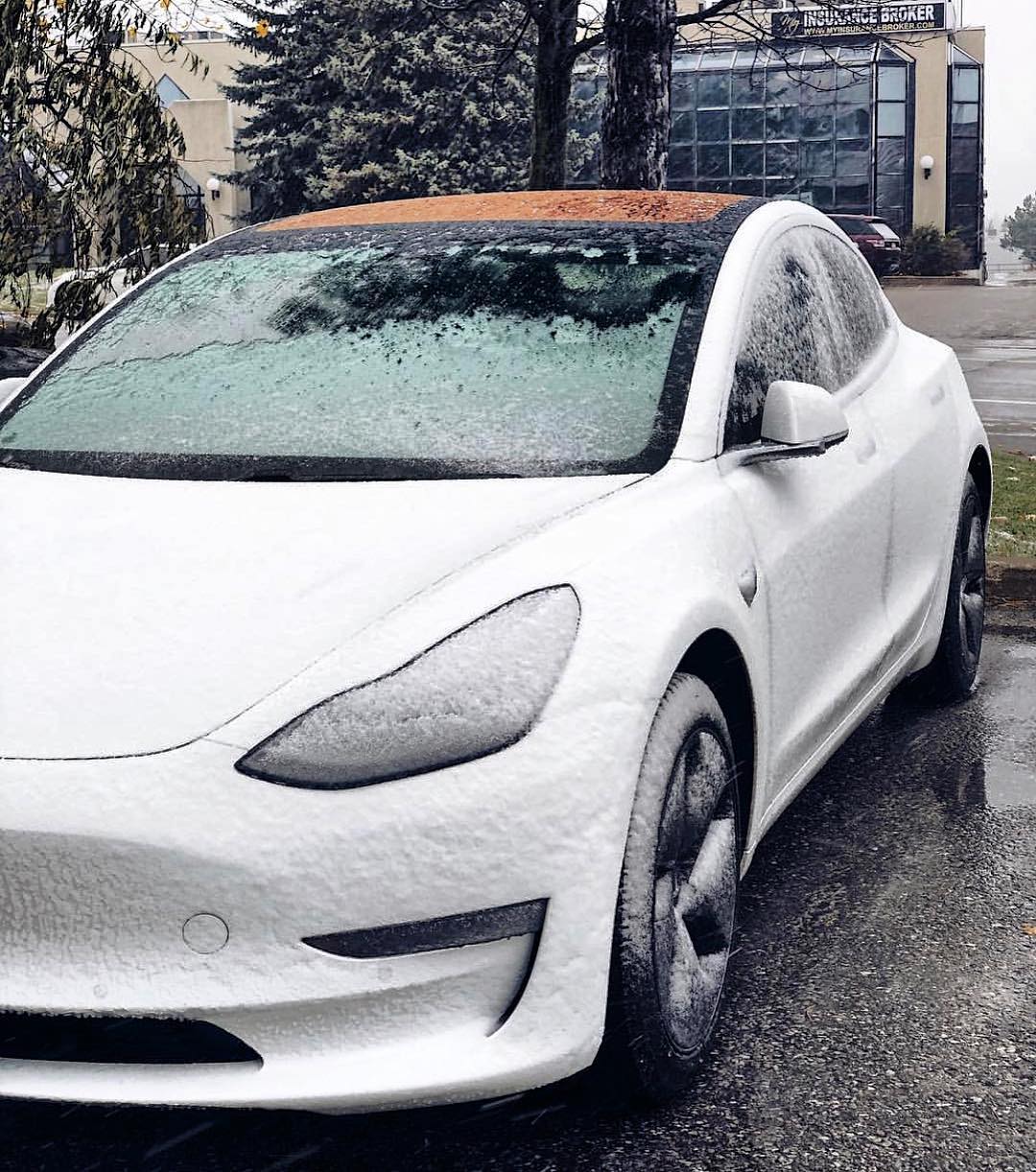 White Tesla Model 3 frosted by snow on headlights, bumper and bonnet