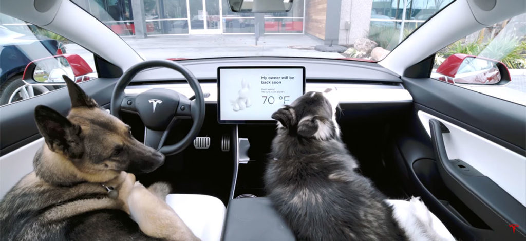 Tesla 'Dog Mode' keeps pets safe when owner is away