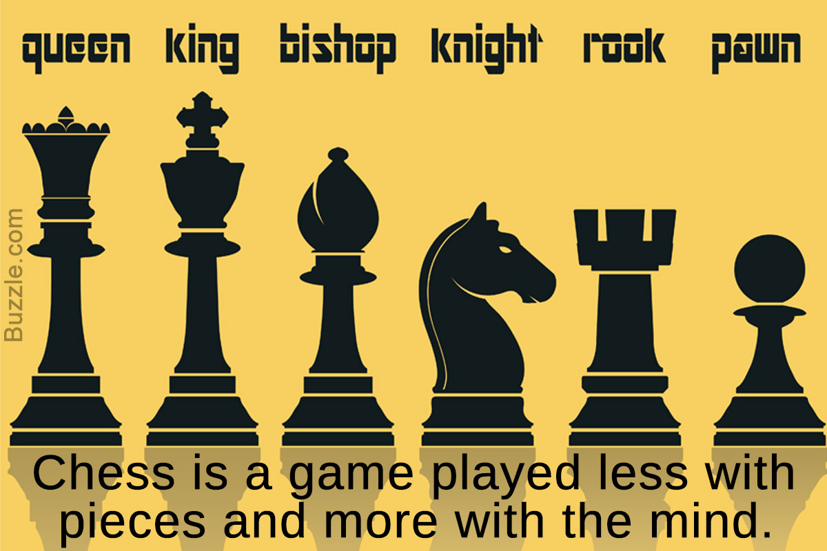 Infographic: Chess Pieces Explained