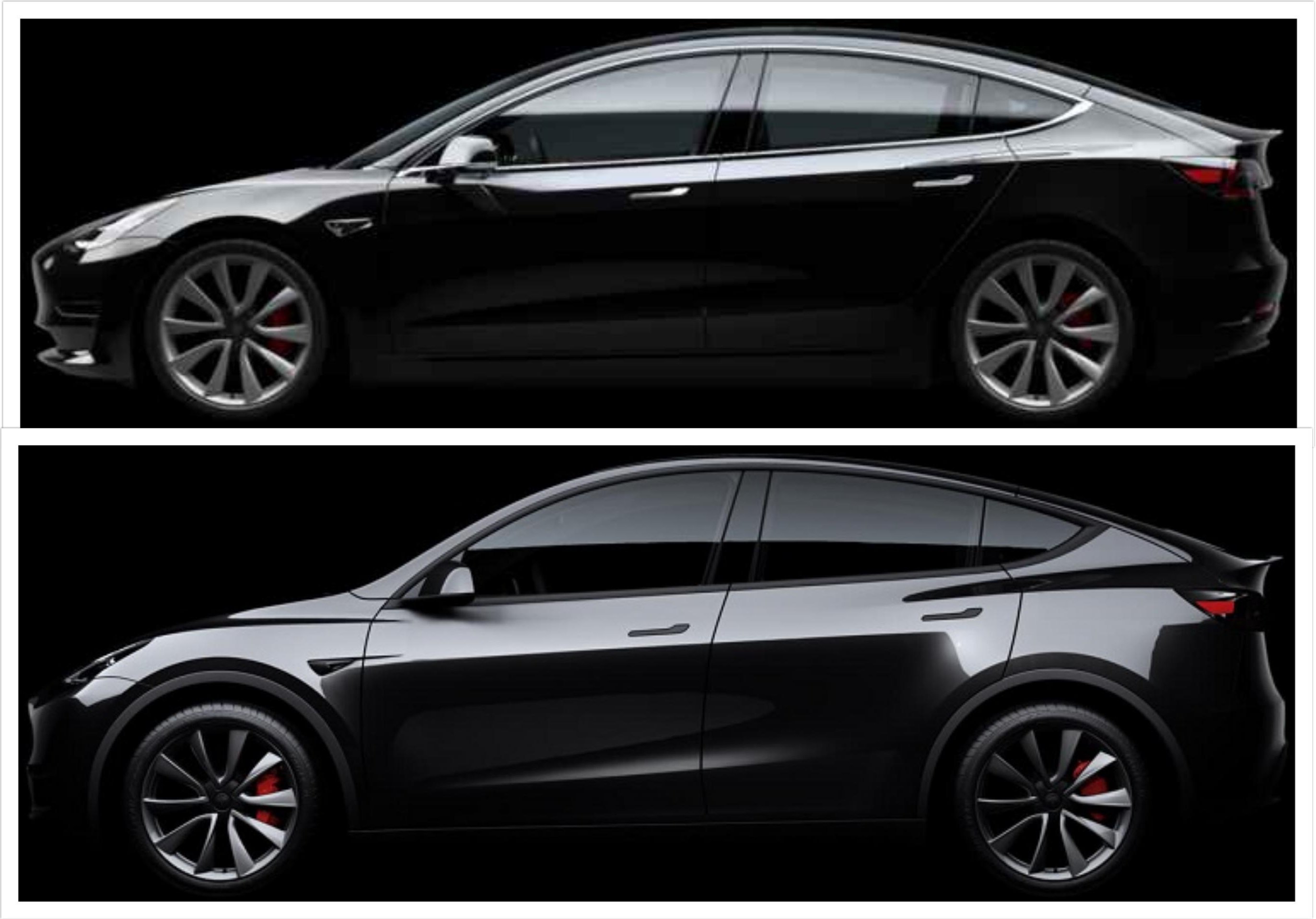 Tesla Model 3 vs. Model Y side profile comparison.