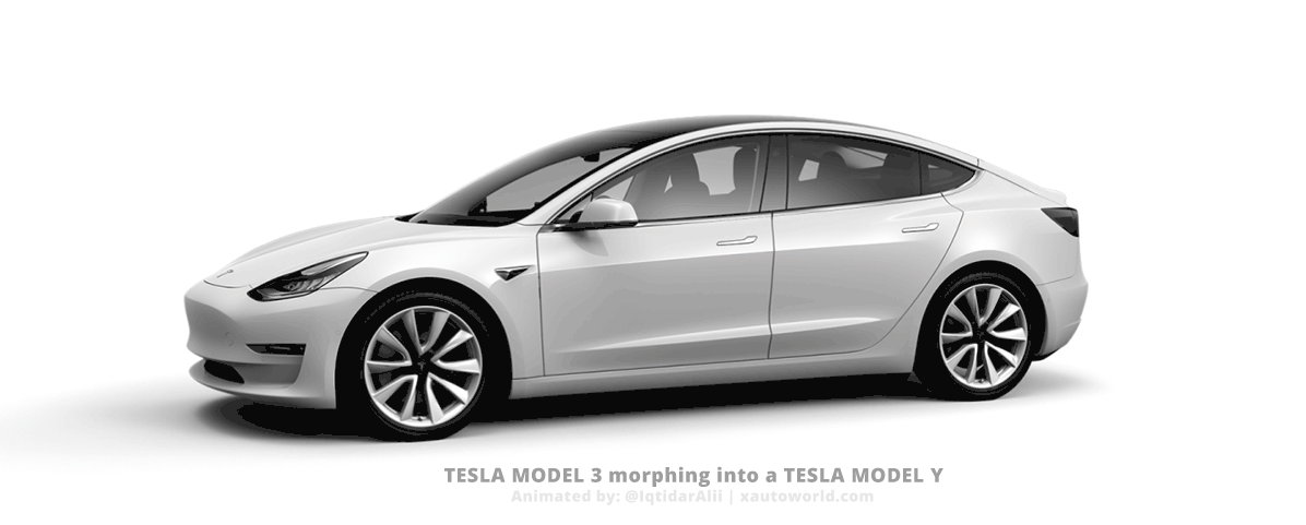Tesla Model 3 morphing into a Tesla Model Y for visual comparison.