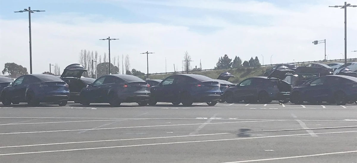 Tesla Model Y stockpile at the company's Fremont car factory.