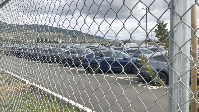Tesla Fremont car factory's parking lot area full of Tesla Model Y compact SUVs.